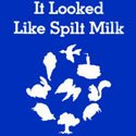 It Looked Like Spilt Milk: Recommendation by Kobi